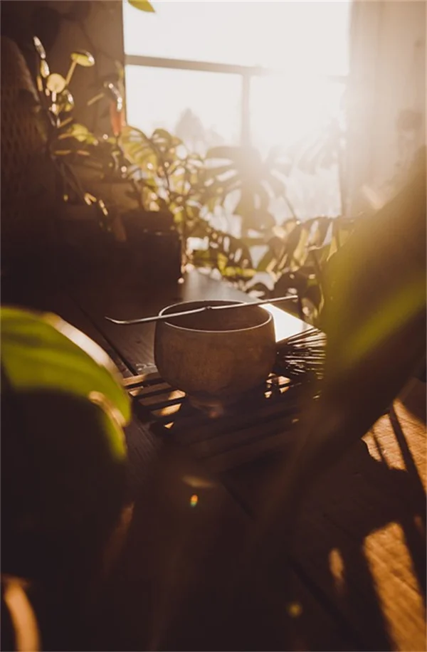 How to Fertilize Ginkgo Trees: My Step-by-Step Guide